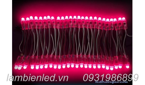 Led full color 1903 vừa rẻ vừa hiệu quả