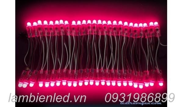 Led full color 1903 vừa rẻ vừa hiệu quả