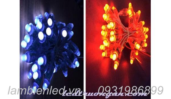 Ưu điểm vượt trội của LED đúc 8mm đế 12mm